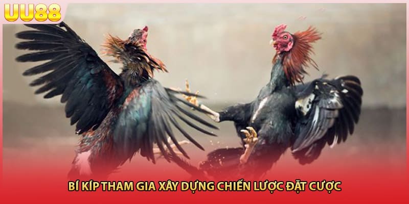 Bí kíp tham gia xây dựng chiến lược đặt cược 